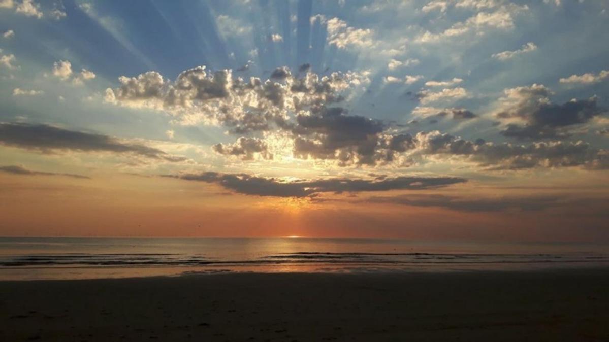 'T Heilige Pad Villa Egmond aan Zee Dış mekan fotoğraf