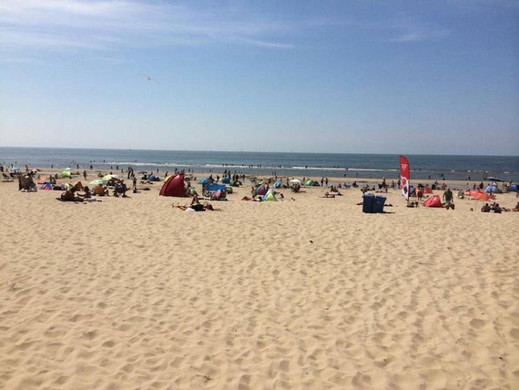 'T Heilige Pad Villa Egmond aan Zee Dış mekan fotoğraf